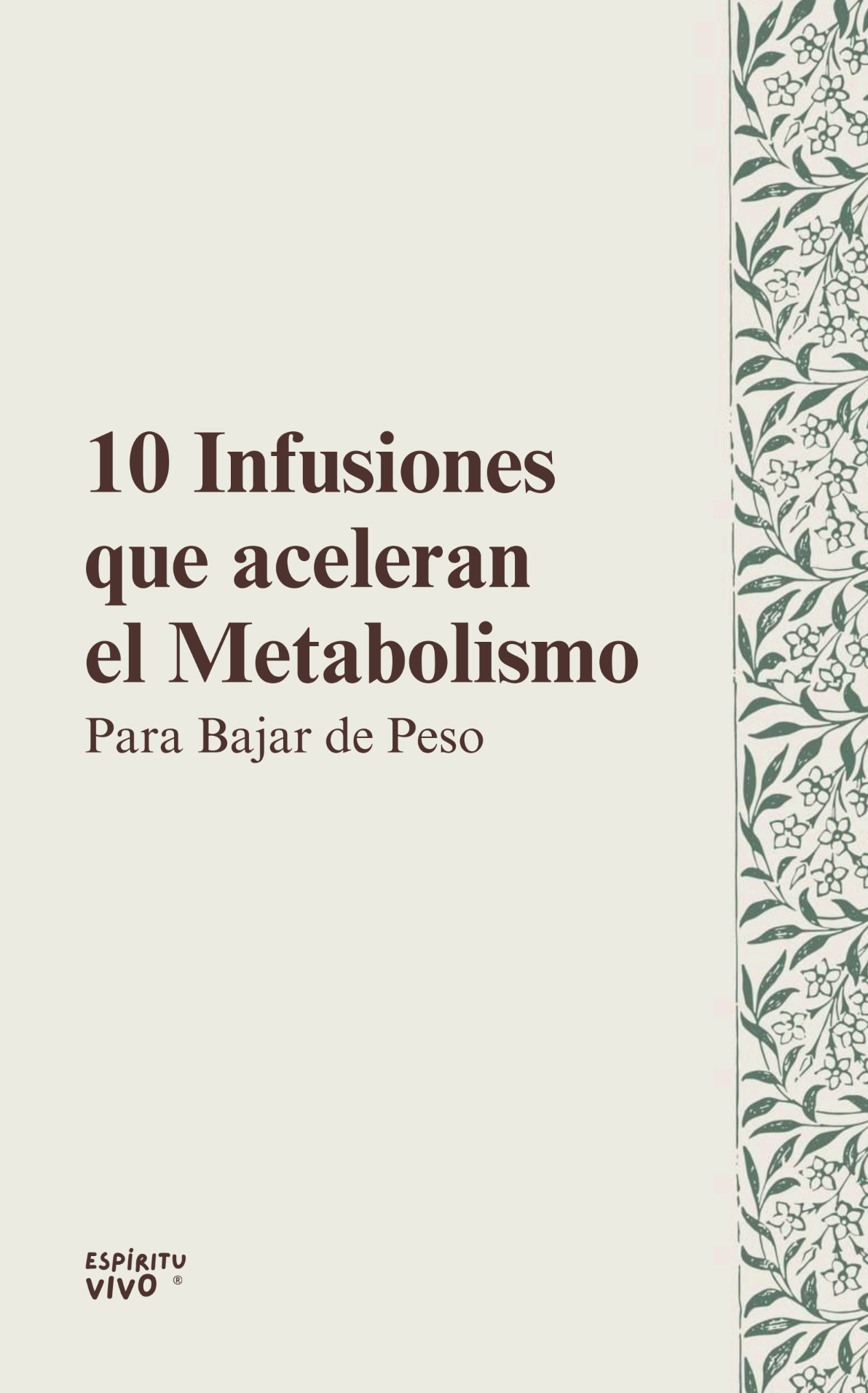 Infusiones para acelerar el metabolismo